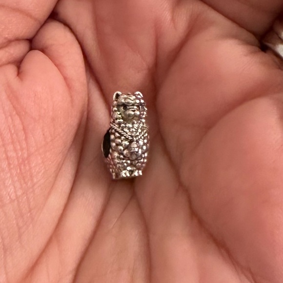 PANDORA BRACELET with 13 charms/clasps OVER $1000 worth - Picture 4 of 6